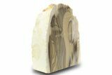 Polished Striped Flint Stand Up - Poland #299362-2